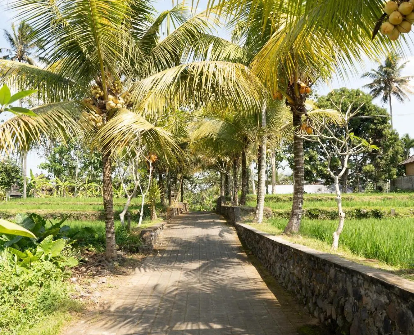 The Sakara Ubud Villas By Pramana Villas Indonesia